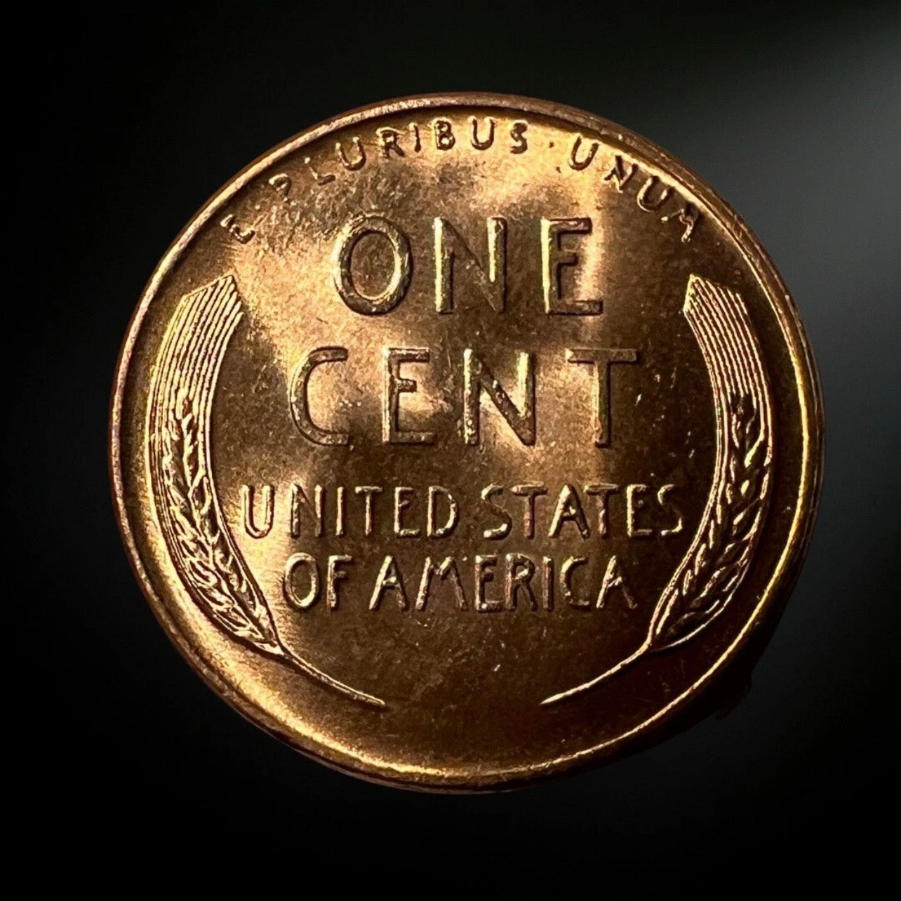 1955-D Lincoln Wheat Cent BU Reverse 