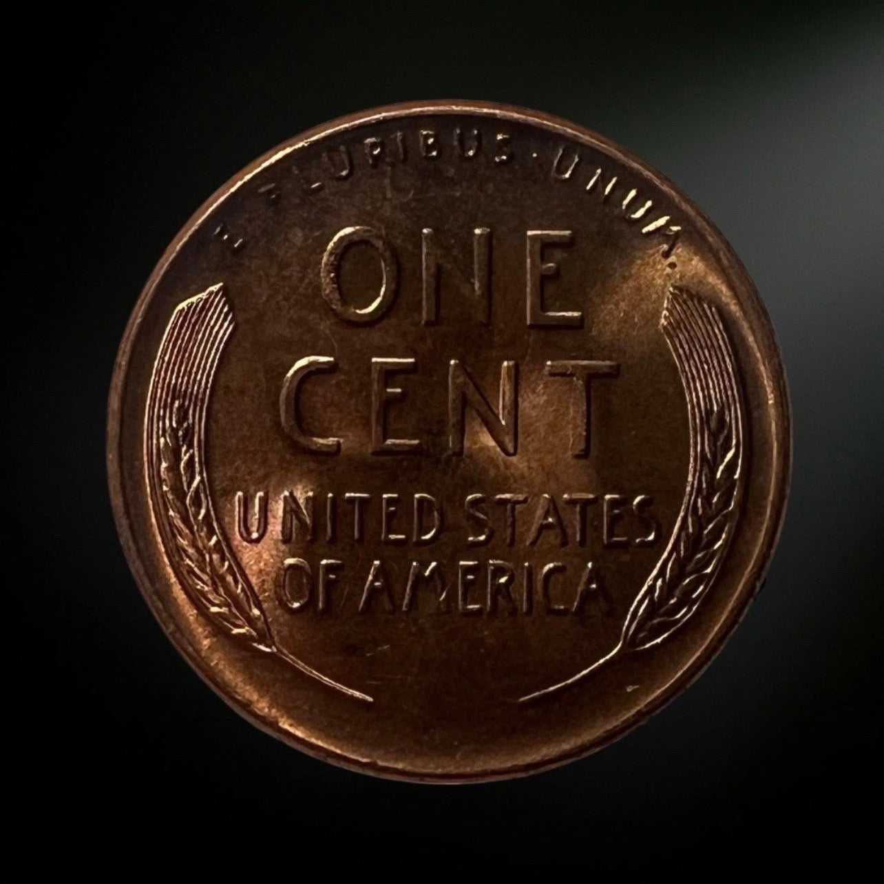 1956-D Lincoln Wheat Cent BU Reverse 